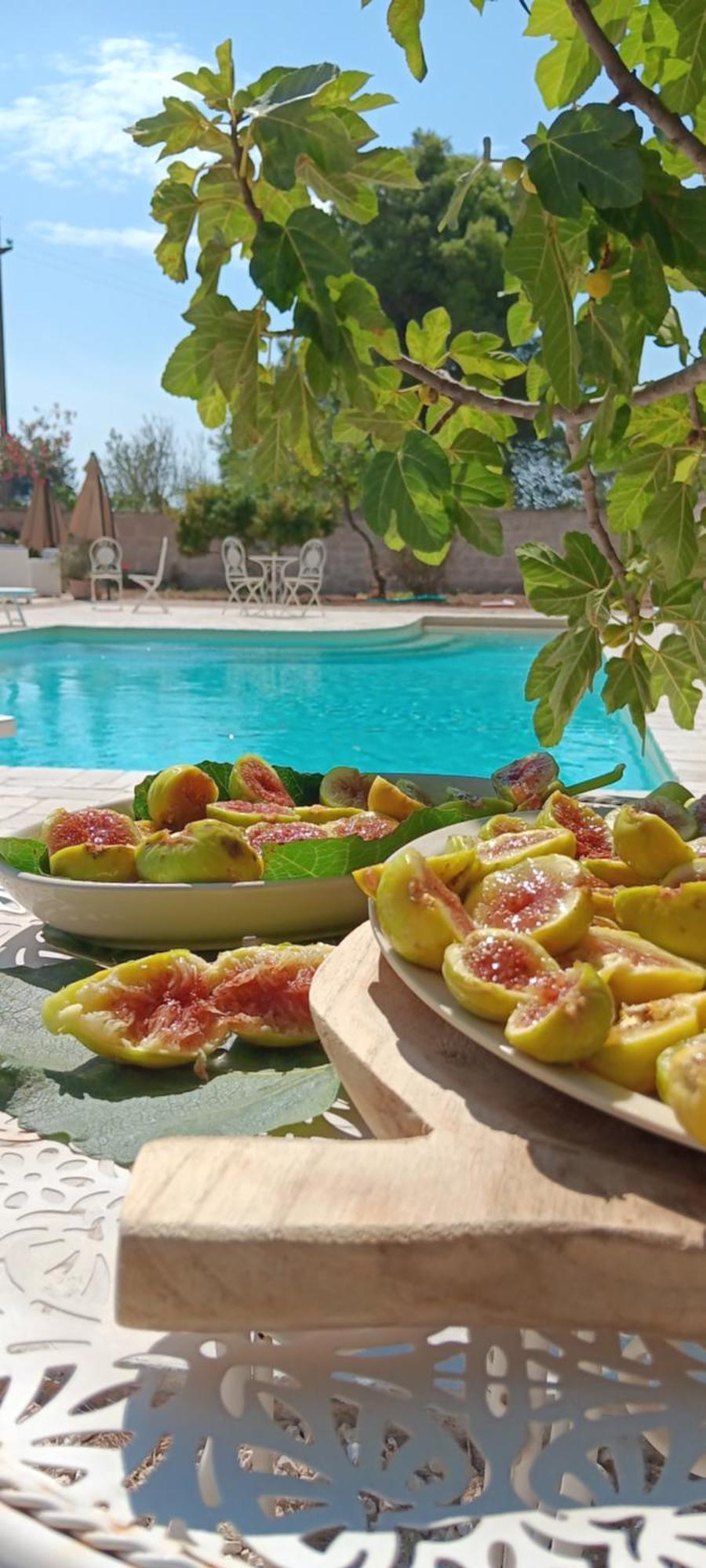 Antico Casale Il Sambuco Bed & Breakfast Manduria Exterior photo